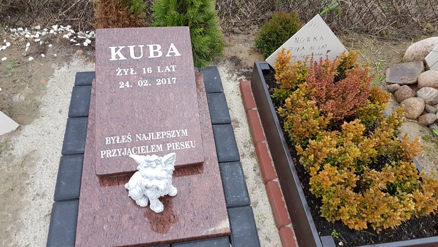 Wszystkich Świętych 2017 na cmentarzu dla zwierząt w Łodzi