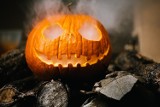 Imprezy na weekend Kraków. Gdzie wybrać się na Halloween? Sprawdź, co będzie się działo 29-31 października!