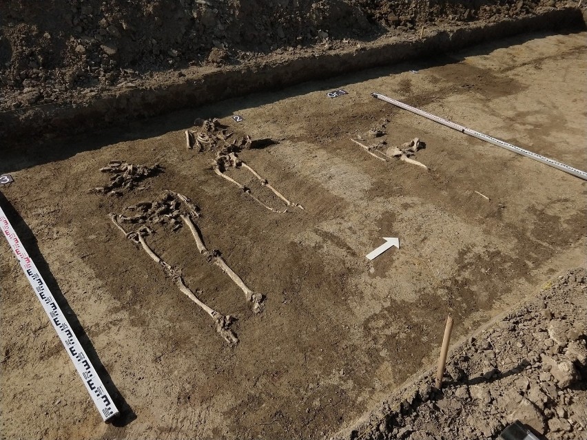 W zaoranej ziemi archeolodzy znaleźli setki fragmentów...