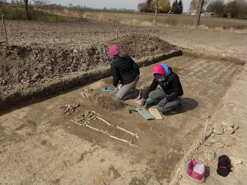 W zaoranej ziemi archeolodzy znaleźli setki fragmentów...