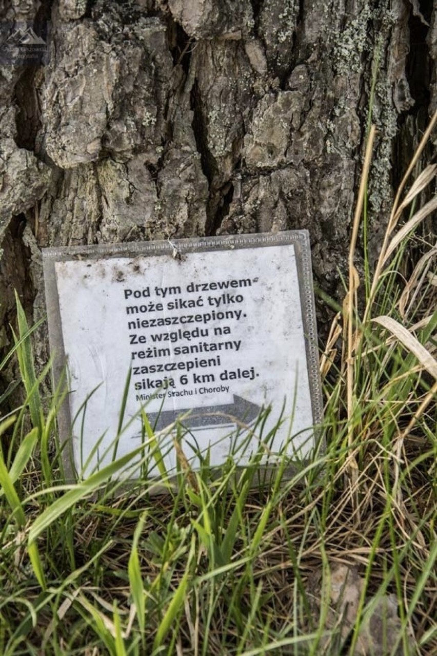 Malownicze krajobrazy Beskidu Sądeckiego i Pienin