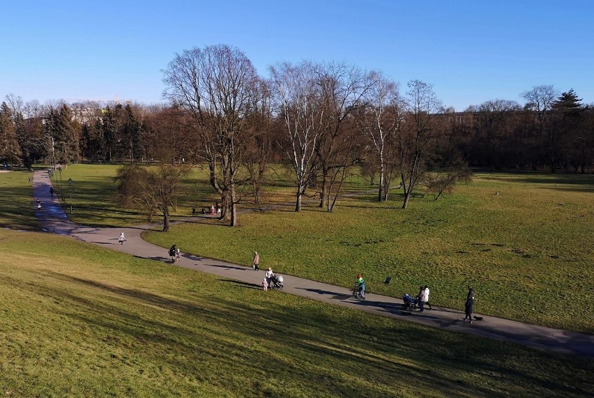Kraków. Słoneczna pogoda przyciągnęła spacerowiczów na Błonia i do Parku Jordana [ZDJĘCIA]
