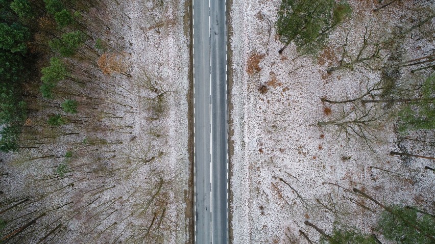 Te fotografie z nadleśnictwa Rzepin podziwia się z zapartym...