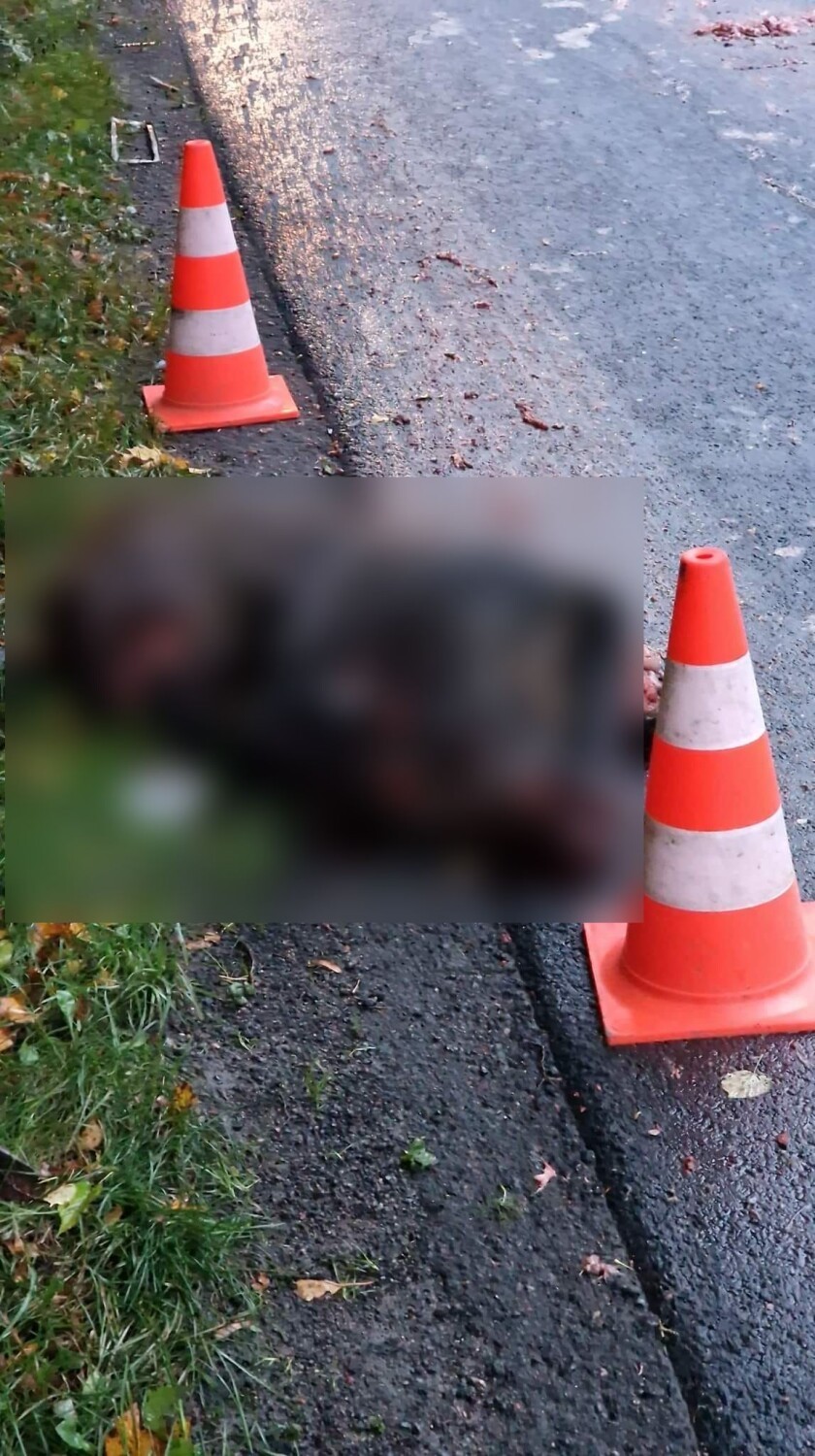 Gmina Przywidz. Wypadek samochodowy w Pomlewie. Potrącenie dzika |ZDJĘCIA