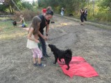 Wesoła Łapka szkoli psy schroniskowe w Rudzie Śląskiej. Wolontariusze pomagają