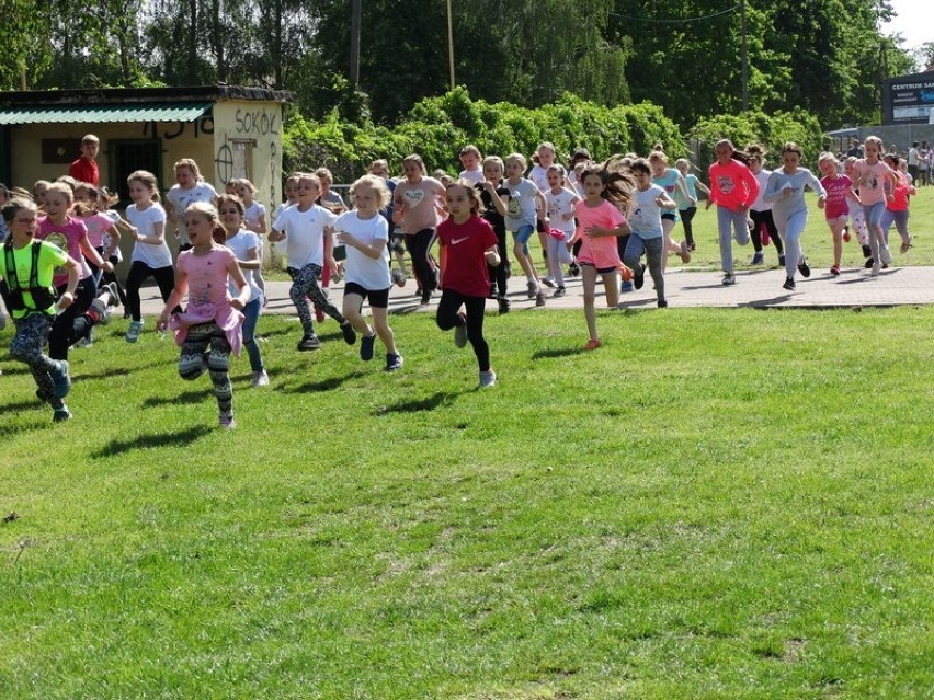 Biegi Gryfitów w Pyrzycach 2019