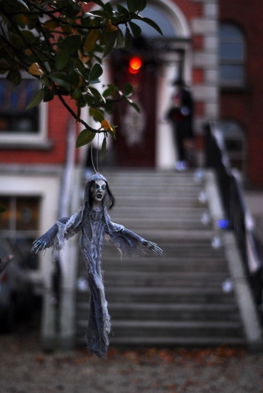 Halloween w Dublinie. Fot. Bartosz Paczkowski
