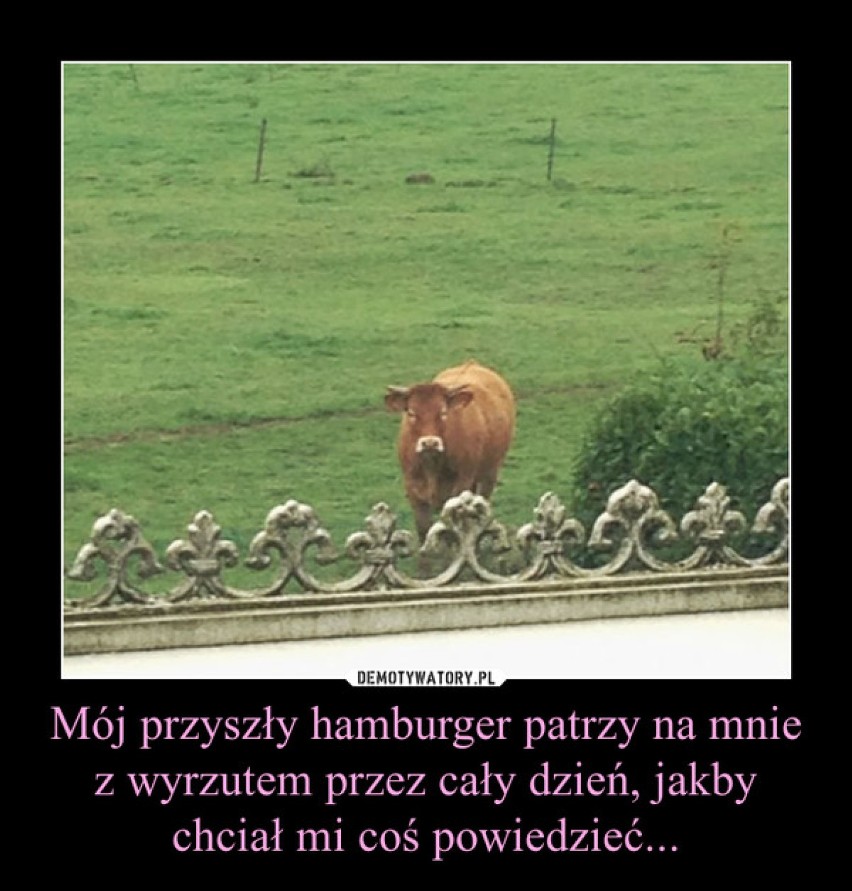 Dzisiaj obchodzimy Światowy Dzień Hamburgera. Skusicie się? (MEMY)