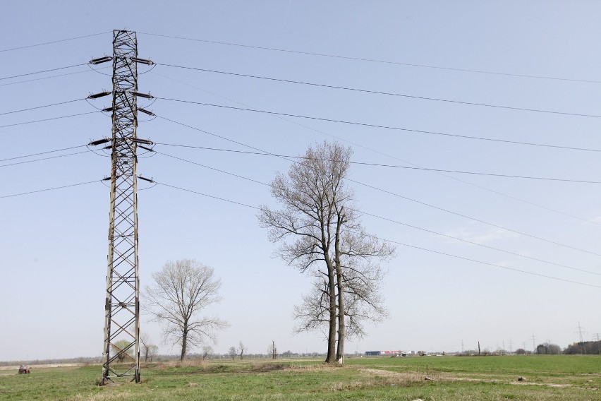 Słupy wysokiego napięcia czekają na zabezpieczenie