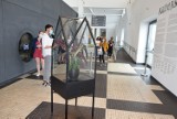 Gdynia: "Klimaks" w Muzeum Emigracji. Nową wystawę czasową w zabytkowym gmachu przy ul. Polskiej 1 zwiedzać można do 31 października
