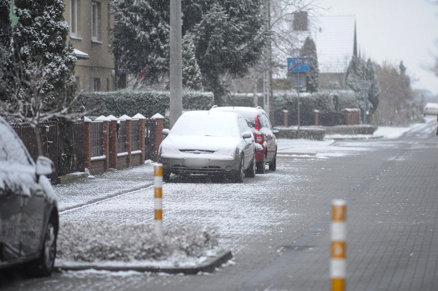 Pierwszy śnieg tej zimy w Lesznie
