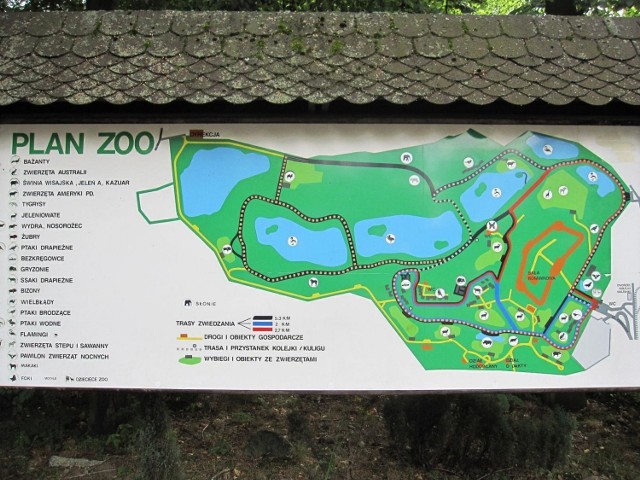 Plan ZOO. Szczeg&oacute;łowe informacje o ogrodzie zoologicznym na oficjalnej stronie: http://www.zoo.poznan.pl/ Fot. Judyta Rykowska
