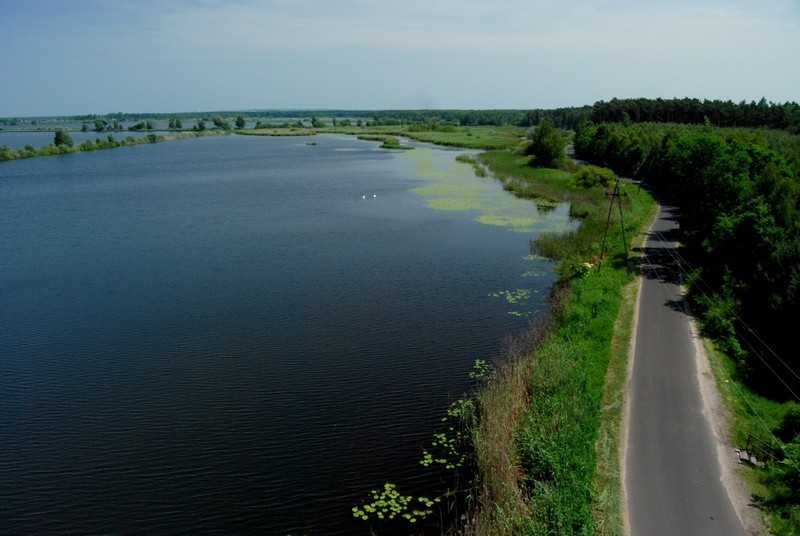 Stawy przygodzickie wizytówką powiatu ostrowskiego