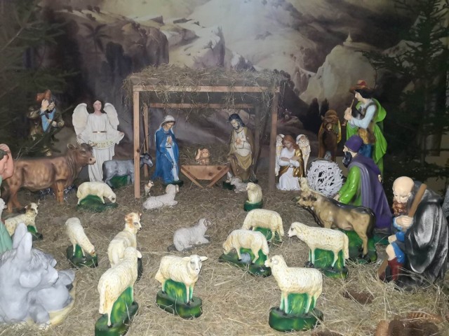 Bożonarodzeniowa szopka w kościele pod wezwaniem Niepokalanego Poczęcia Najświętszej Maryi Panny w Busku w wigilię 2022 - tuż przed pasterką.


>>>Więcej zdjęć na kolejnych slajdach