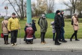 Poznań: Cztery linie autobusowe zmienią trasy