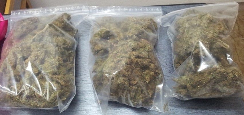 Policjanci zabezpieczyli 1,5 kilograma narkotyków