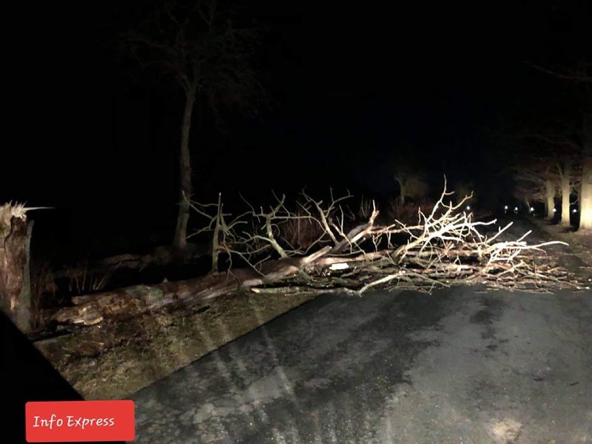 Skutki wichur w powiecie lublinieckim. Wiejący z dużą prędkością wiatr łamał drzewa i słupy ZDJĘCIA