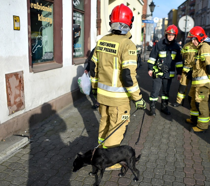Leszno. Strażacy uratowali wycieńczonego psa. Jego pan zmarł w mieszkaniu [ZDJĘCIA]