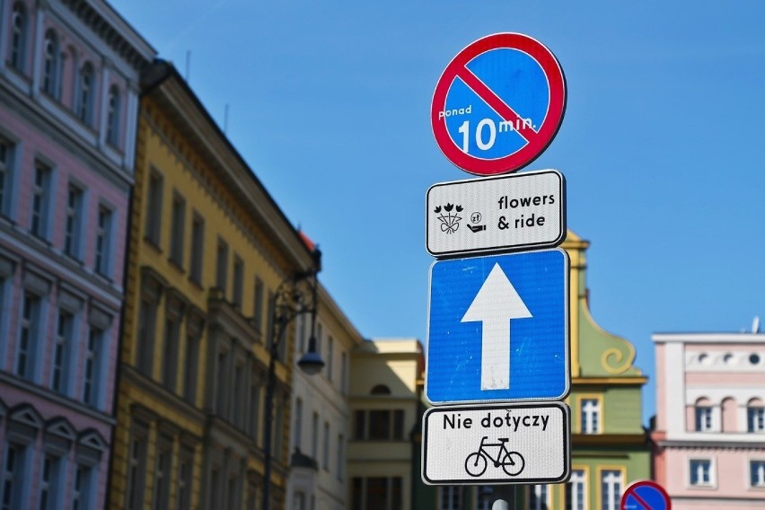 We Wrocławiu powstał... parking dla kupujących kwiaty na pl. Solnym