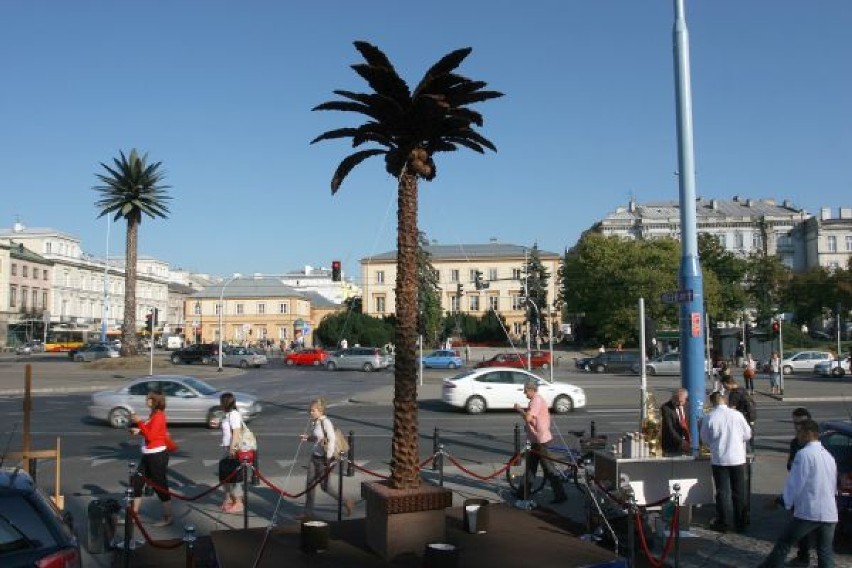 Czekoladowa palma stanęła przy rondzie De Gaulle’a