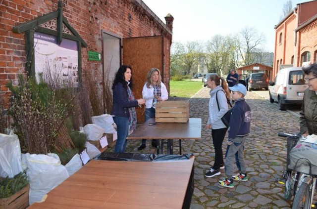 Nowy Dwór Gdański. W najbliższą sobotę, 22 kwietnia każdy chętny będzie mógł wymienić plastikowe butelki na sadzonkę drzewka. Akcja będzie trwać od godziny 10.00 do 13.00 lub do wyczerpania zapasów sadzonek.