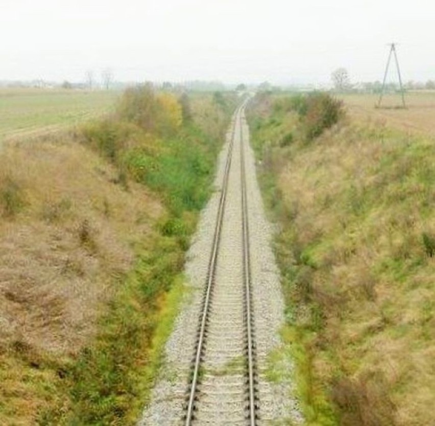 PKP PLK SA wyremontowały odcinek linii kolejowej 206 Dziarnowo - Wapienne. Pociągi towarowe jeżdżą szybciej [zdjęcia]