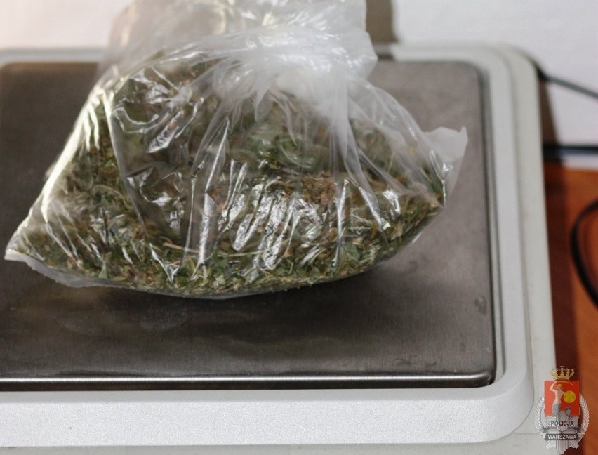 Dwóch mężczyzn posiadało ponad 70 gram marihuany. Ukryli je w samochodzie, bieliźnie i w domu