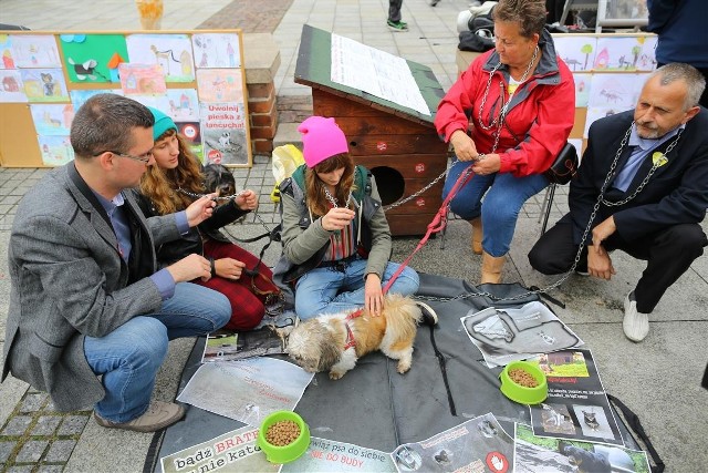 Uczestnicy przekonywali, aby nie trzymać zwierząt na łańcuchach