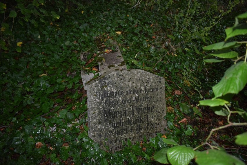 Smutna historia cmentarzy ewangelickich w gminie Gniezno. Po pięknych miejscach został bałagan i bluszcz [FOTO]