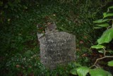 Smutna historia cmentarzy ewangelickich w gminie Gniezno. Po pięknych miejscach został zagajnik i bluszcz [FOTO]