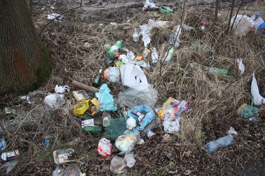 Wysypisko śmieci przy ulicy Krakowskiej w Szczekocinach