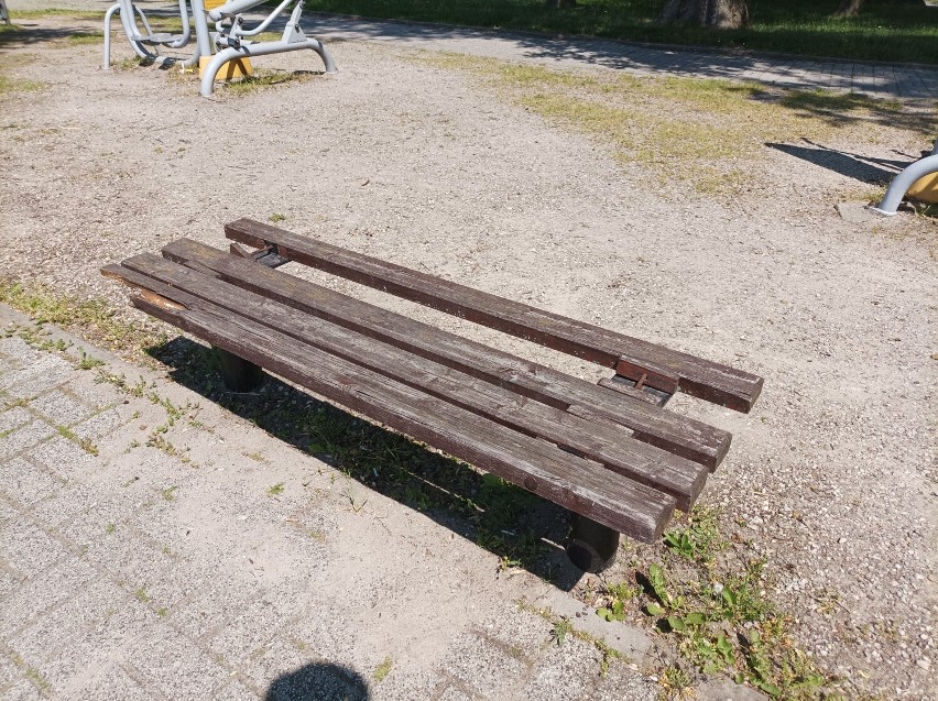 Tak się prezentuje ławka w parku