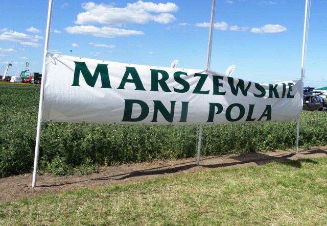 Marszewskie Dni Pola: Mnóstwo atrakcji podczas Marszewskich Dni Pola