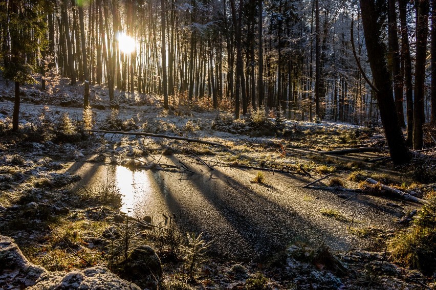 Zdjęcia na kalendarz 2016: powiat wejherowski.  [PLEBISCYT]