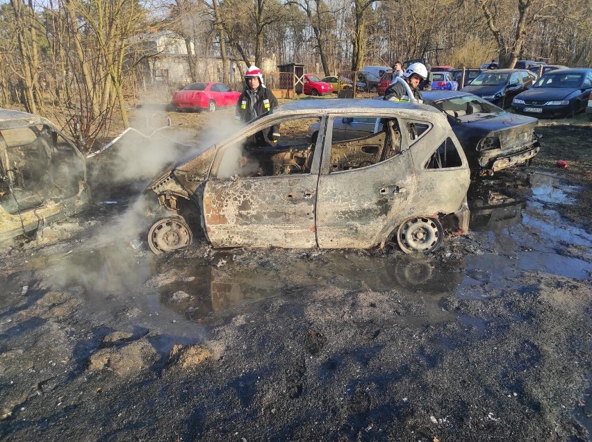 Pożar w Siedlcach w gminie Sędziejowice. Paliły się trawy, spaliły się samochody