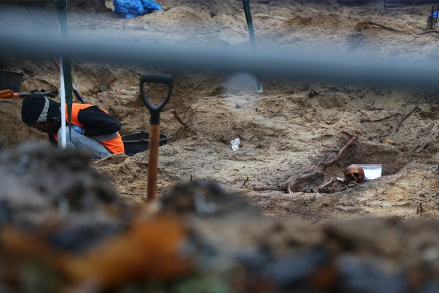 Ludzkie ciała odnaleziono podczas prac archeologicznych na terenie dawnego basenu