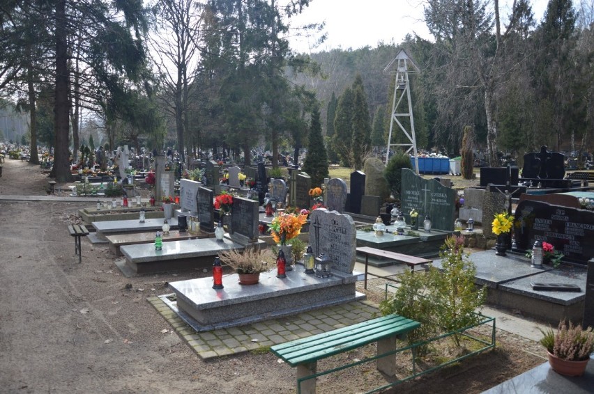 Na cmentarzu w Wejherowie brakuje miejsc? Radny Kozłowski: Trzeba powołać cmentarz komunalny [ZDJĘCIA]
