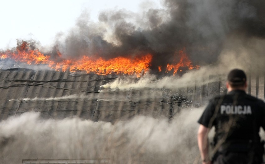Pożar hali w Gdyni: Spaliła się hala przy Vistalu (okolice ul. Hutniczej) ZDJĘCIA Z AKCJI