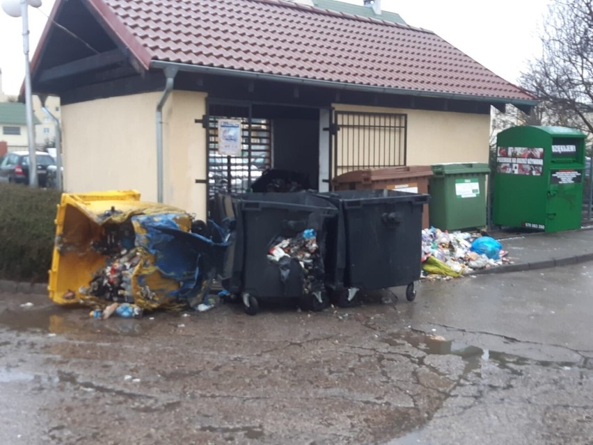 Podpalone zostały śmietniki w ośmiu altanach.