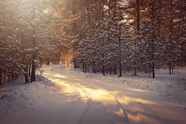 Jaka będzie zima 2022/2023 roku? Czy w Wigilię i Boże Narodzenie spadnie śnieg? Czy czekają nas białe święta? IMGW prognozuje, jaka może być pogoda przez najbliższe, zimowe miesiące.

Chociaż nadal trwa kalendarzowa jesień, to zima w Polsce już się zaczęła. I może nas nie raz zaskoczyć! 

Zobacz najnowszą prognozę pogody na grudzień 2022 i styczeń, luty, marzec 2023 roku >>>>>