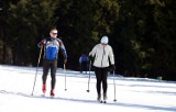 Nowa trasa narciarska pod Wrocławiem
