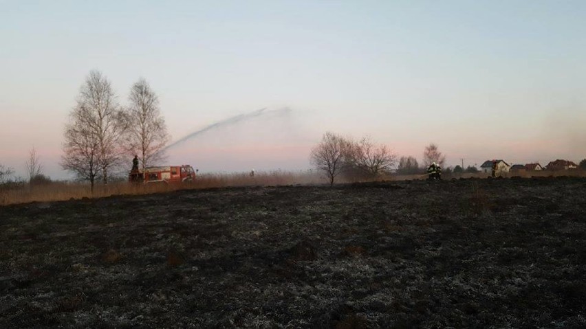 Małopolska zachodnia. Strażacy kilkadziesiąt razy gasili pożary traw. Spalił się też przystanek [ZDJĘCIA]