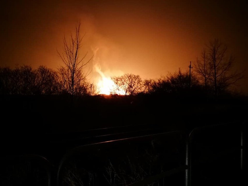 Strażacy z naszego powiatu także walczyli z pożarem gazociągu w Murowanej Goślinie