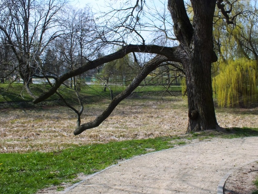 Park Miejski w Zamościu: wreszcie popłynie woda