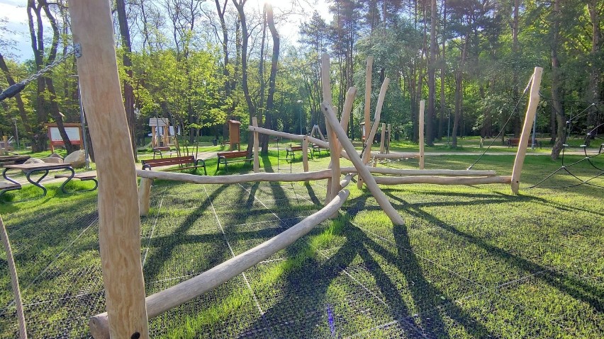 Tak w maju wygląda nowy park Podlesie w Dąbrowie Górniczej...