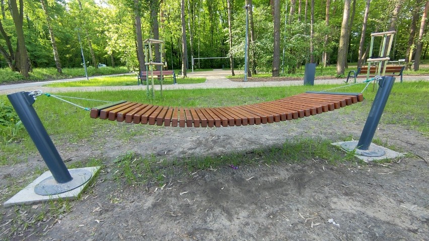 Tak w maju wygląda nowy park Podlesie w Dąbrowie Górniczej...
