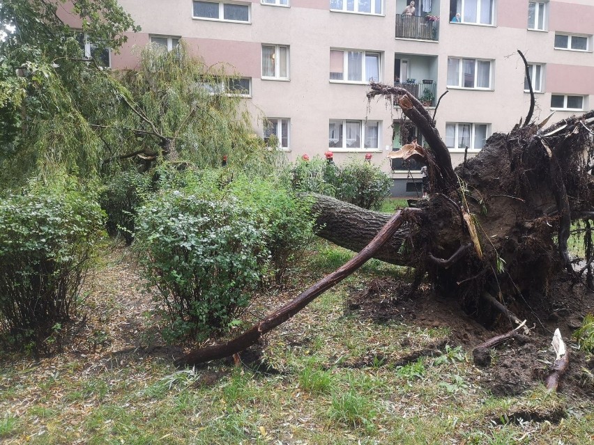 Gwałtowna burza przeszła przez Częstochowę. Wichura wyrywała...