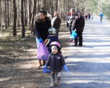 Wiosenne porządki w gminie Gorzkowice. Mieszkańcy posprzątali las w Grabostowie ZDJĘCIA