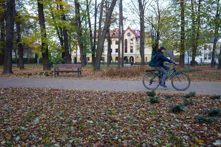 To jeszcze nie koniec jesieni w Rzeszowie! Park przy ul. Dąbrowskiego w pięknych, złocistych barwach. A na ziemi mnóstwo liści