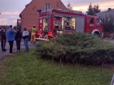 Pożar domu w Zielęcicach. Szybka reakcja dzieci zapobiegła tragedii